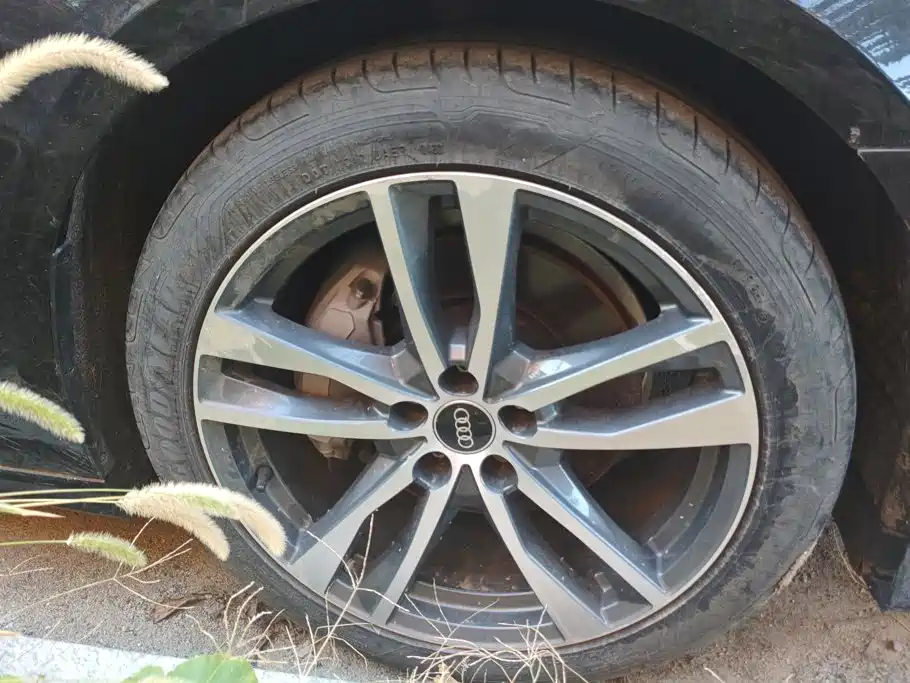Audi A6L — миниатюра 6