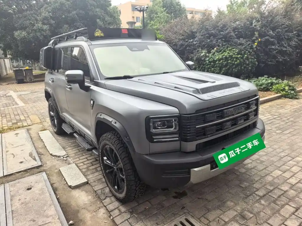 Haval Menglong New Energy — миниатюра 4
