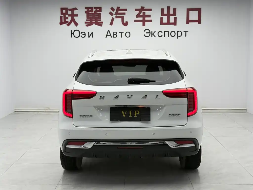 Haval Chulian — миниатюра 5