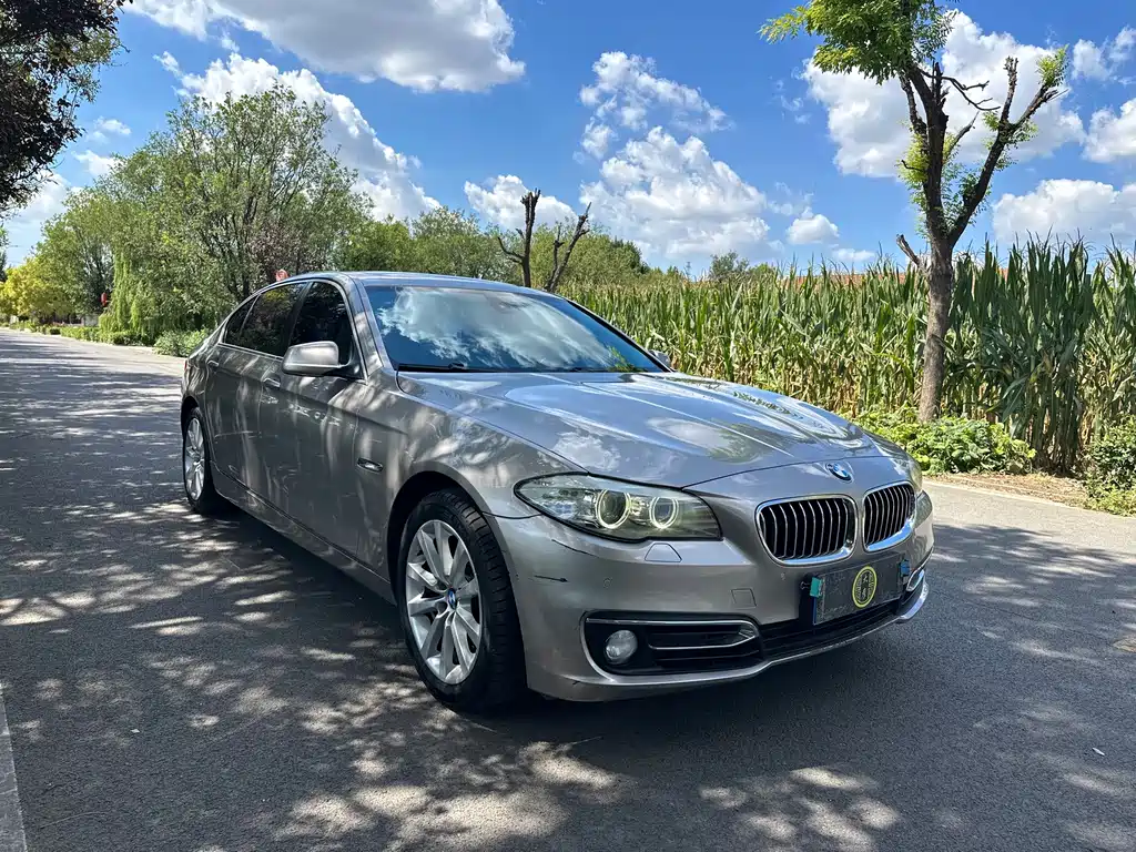 BMW 5 Series — миниатюра 3