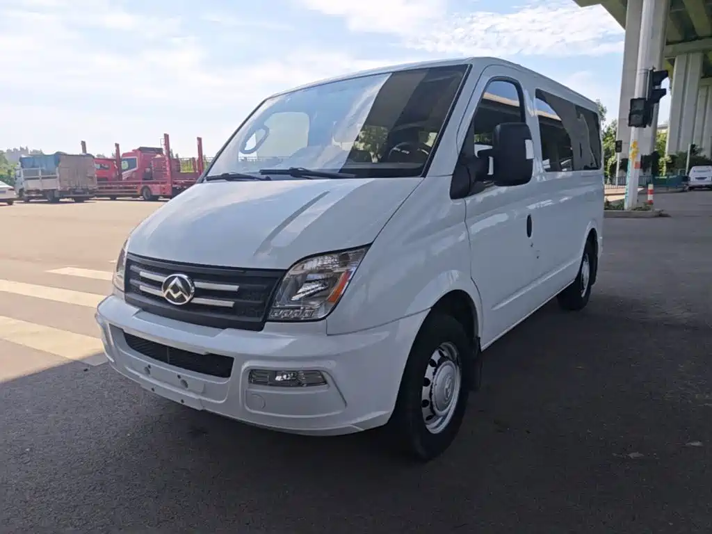 Maxus V80