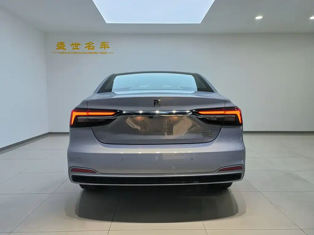 RISING AUTO FEIFAN ER6