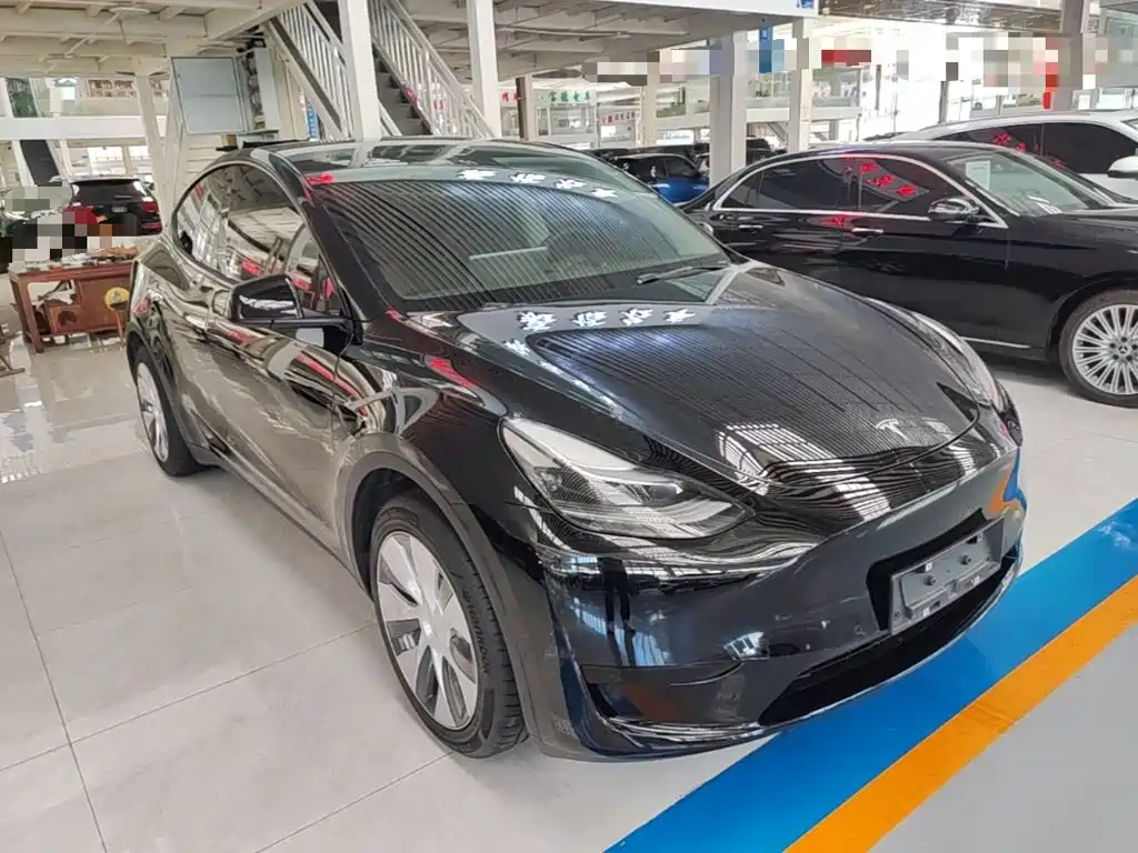 Tesla Model Y — миниатюра 4
