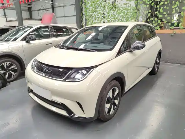 2026 BYD Dolphin