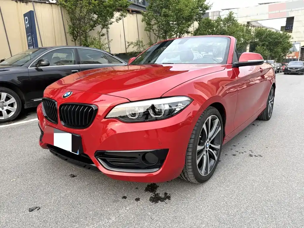 BMW 2 Series (Import) 2021