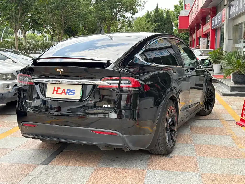 Tesla Model X — миниатюра 4