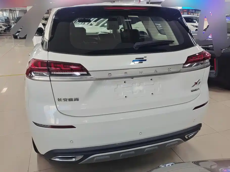 Oshan Oushang X7 — миниатюра 4