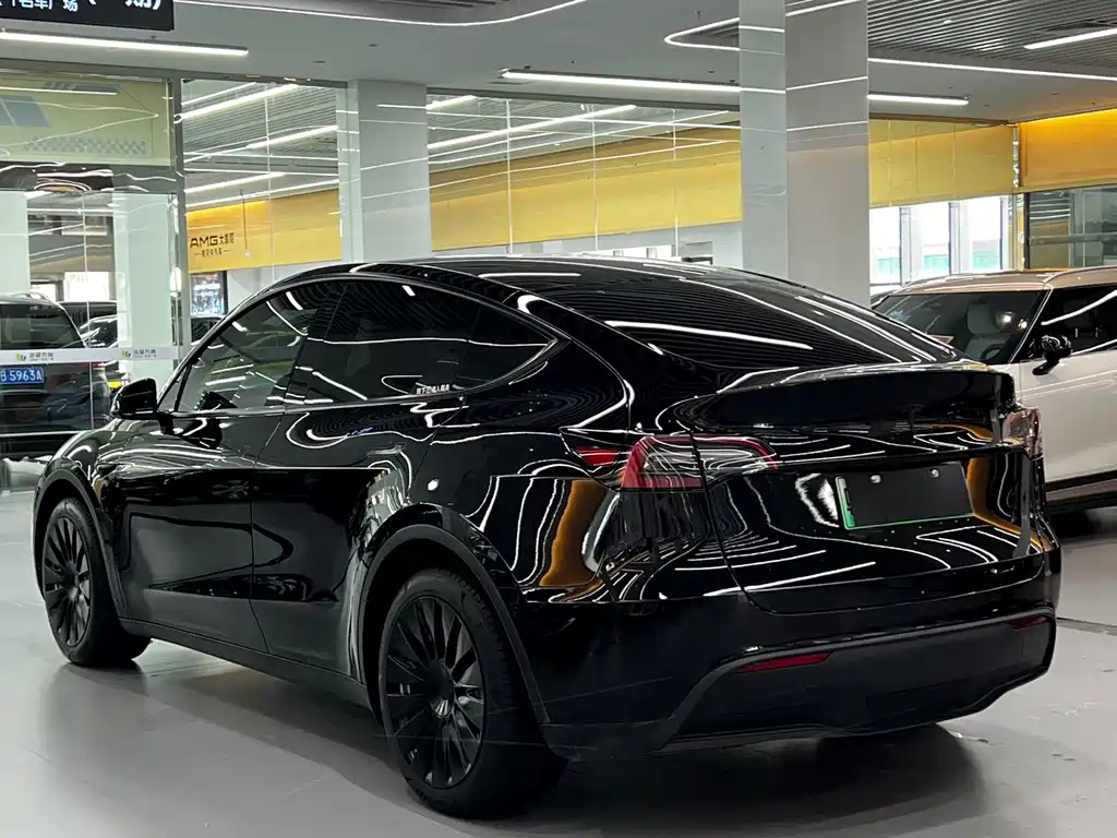 Tesla Model Y — миниатюра 4