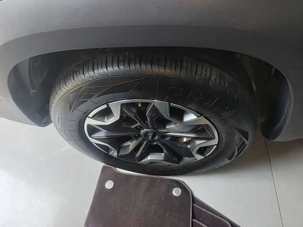 Haval Big Dog — миниатюра 23