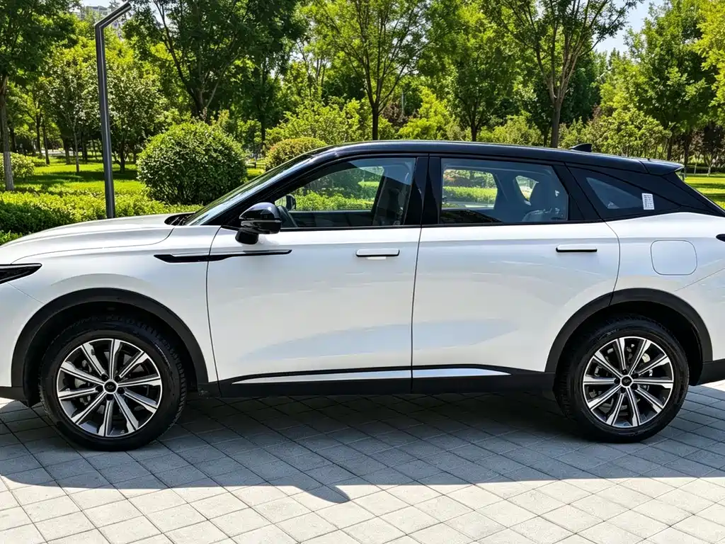 Exeed Yaoguang C-DM — миниатюра 8
