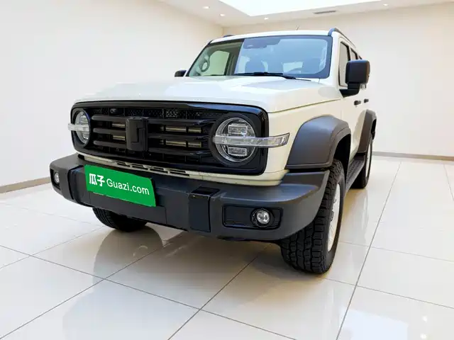Tank 300
