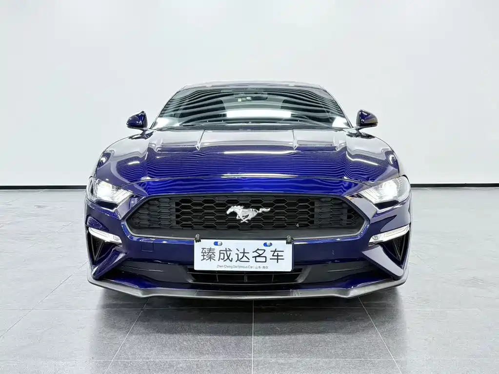 Ford Mustang — миниатюра 2