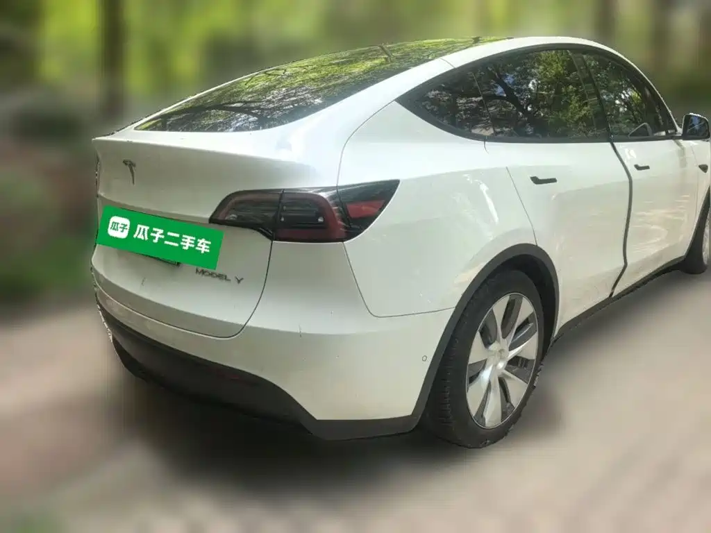 Tesla Model Y — миниатюра 4
