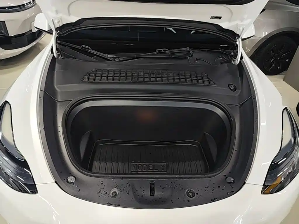 Tesla Model Y — миниатюра 20
