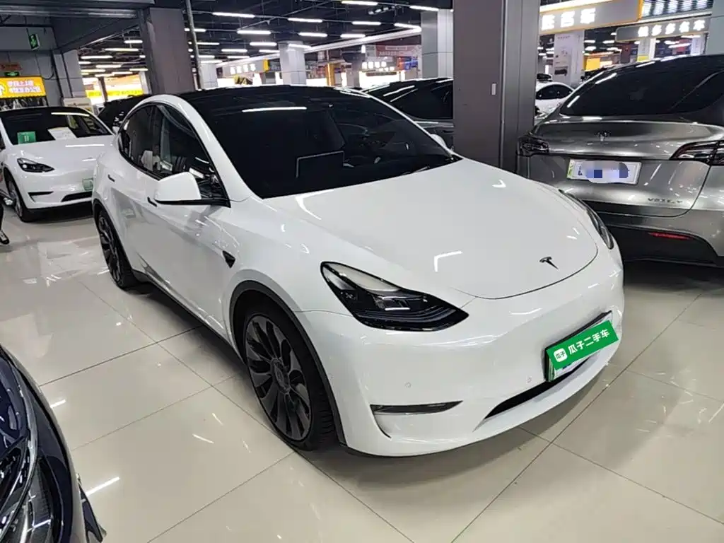 Tesla Model Y — миниатюра 4