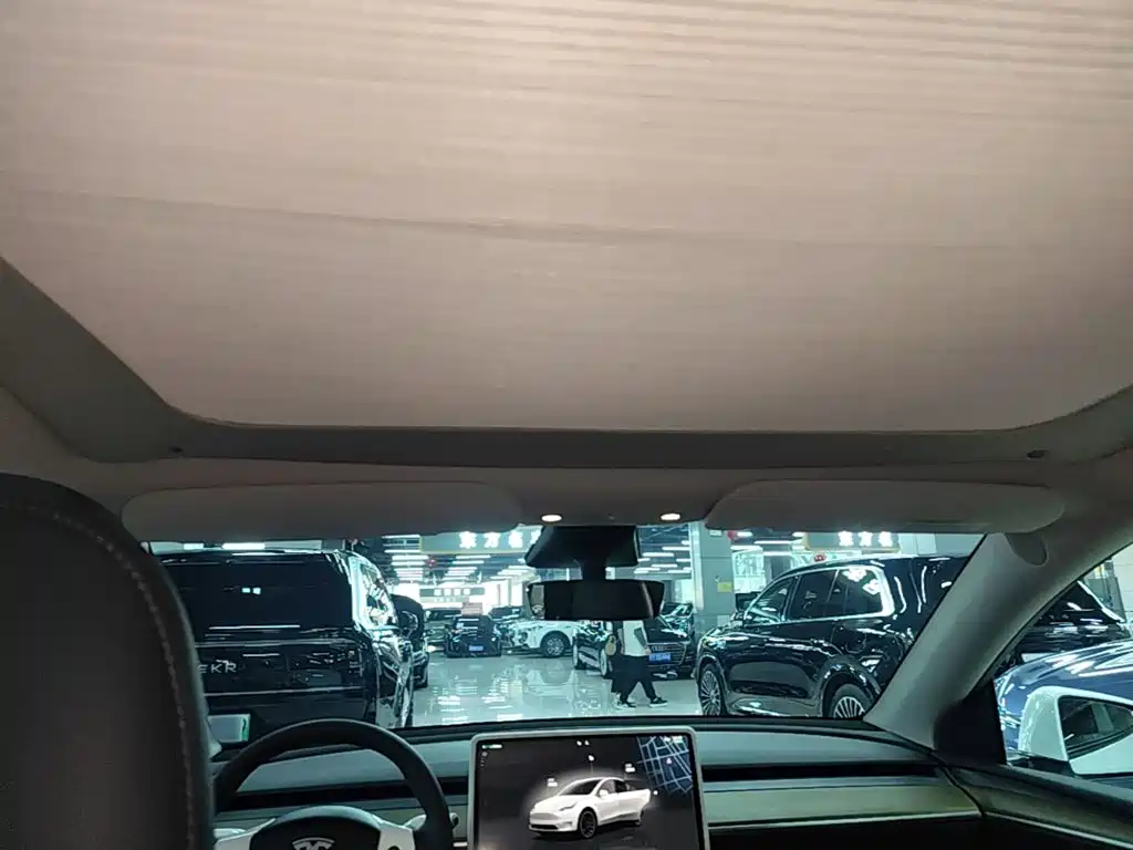 Tesla Model Y — миниатюра 18