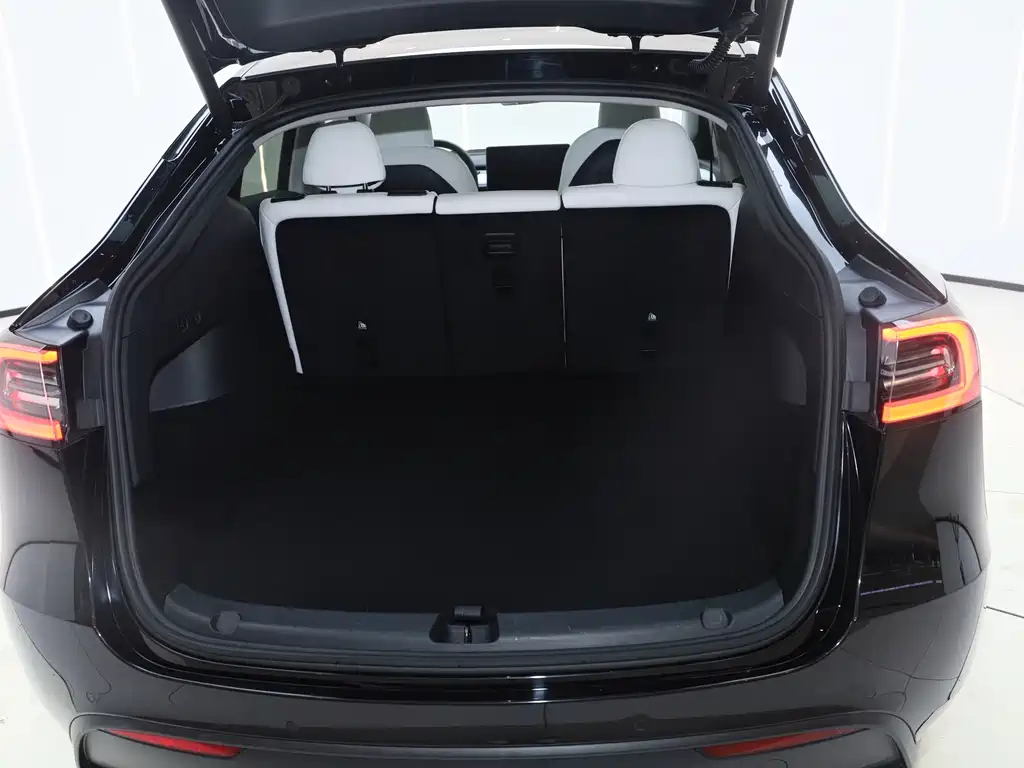 Tesla Model Y — миниатюра 25