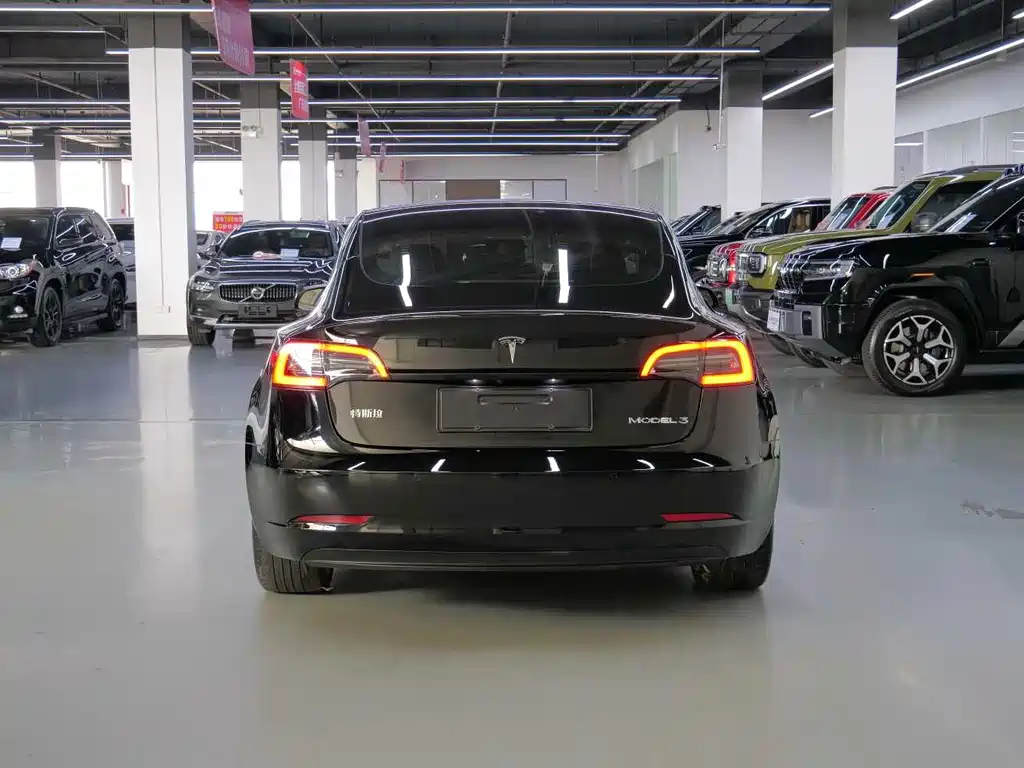 Tesla Model 3 — миниатюра 7