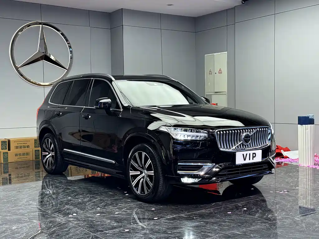 Volvo XC90 — миниатюра 3