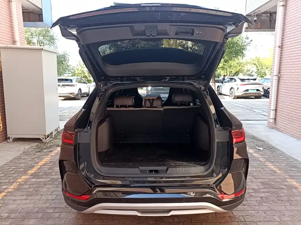 BYD PLUS New Energy — миниатюра 19