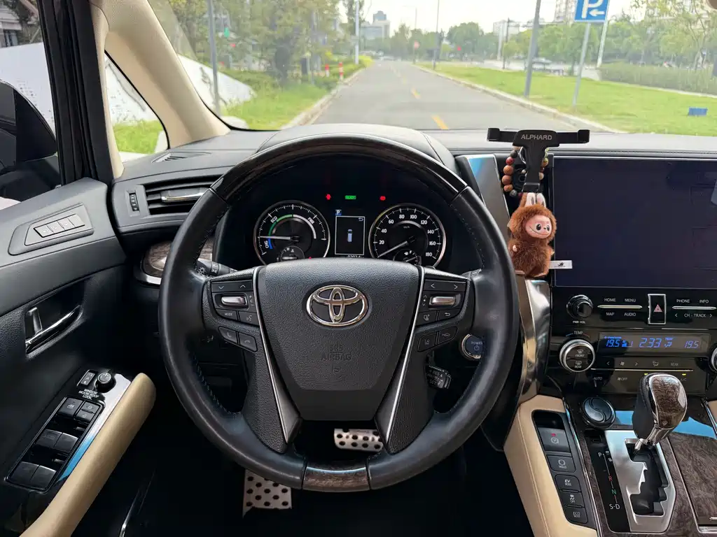 Toyota Alphard — миниатюра 17
