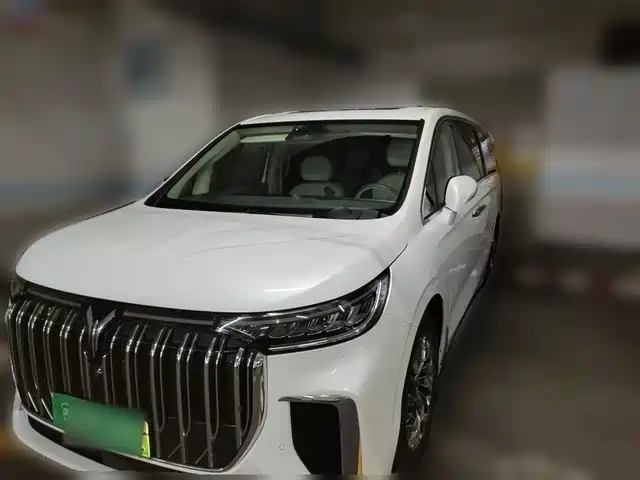 2022 Voyah Dream