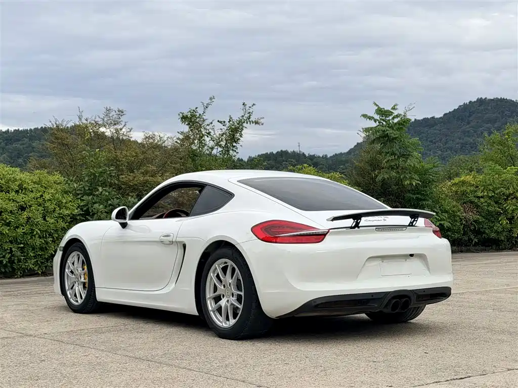Porsche Cayman — миниатюра 5