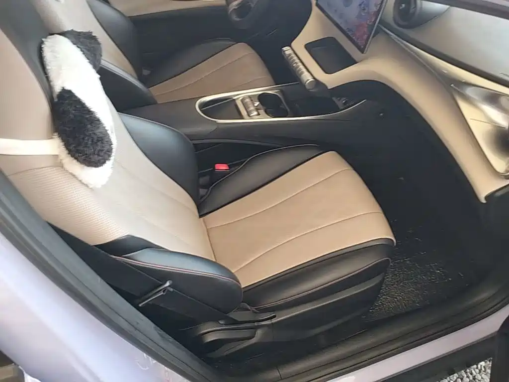 BYD Dolphin — миниатюра 25