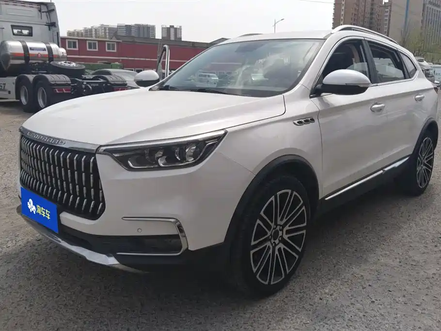 Leopaard Mattu 2019
