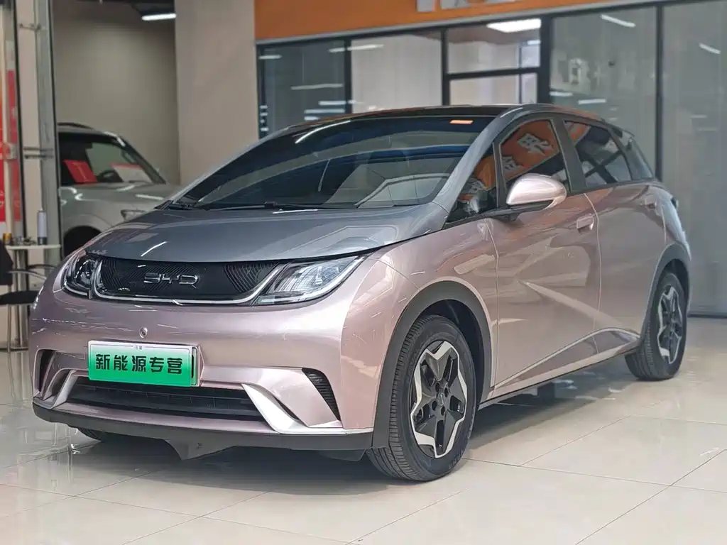 BYD Dolphin — миниатюра 3