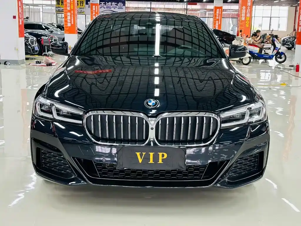 BMW 5 Series — миниатюра 2