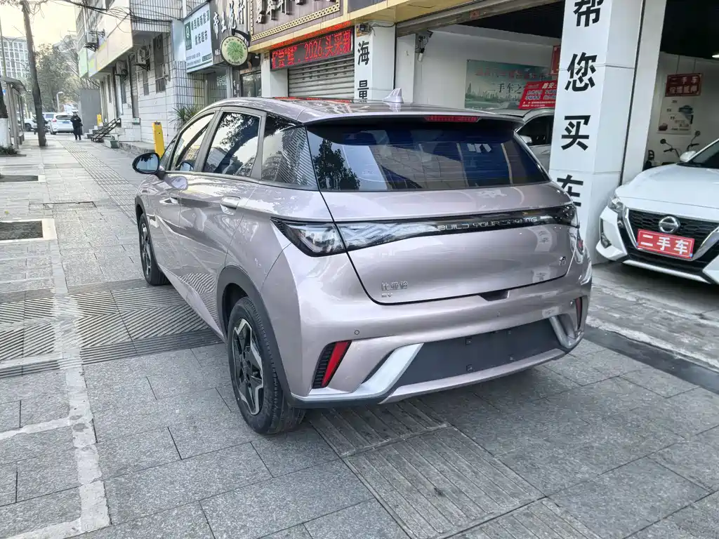 BYD DOLPHIN