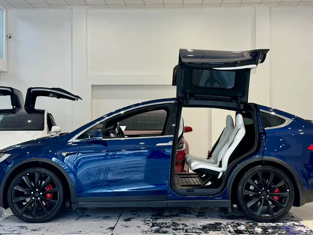 Tesla Model X — миниатюра 7