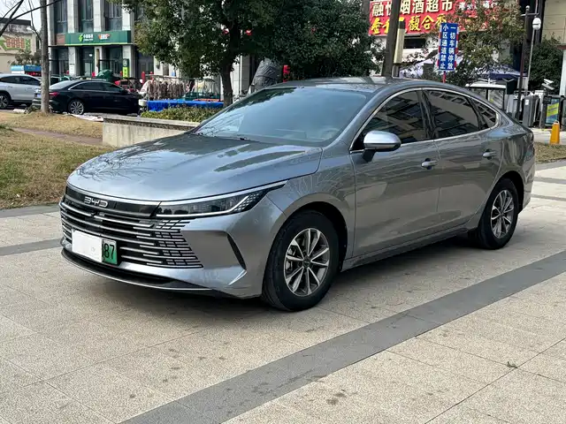 BYD DESTROYER 05 2025