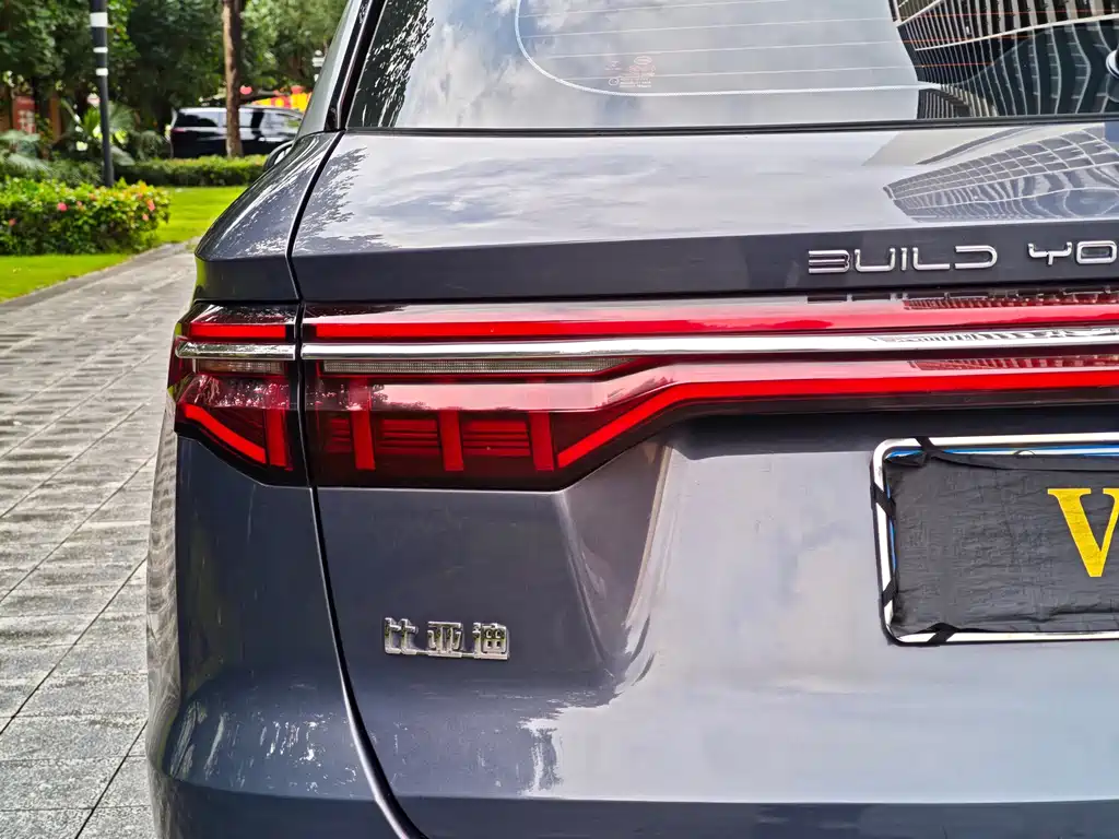 BYD Pro — миниатюра 13