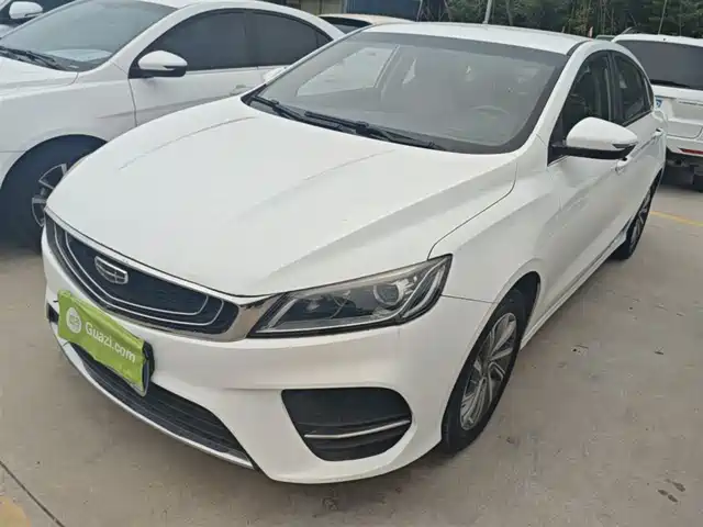 2019 Geely Binrui