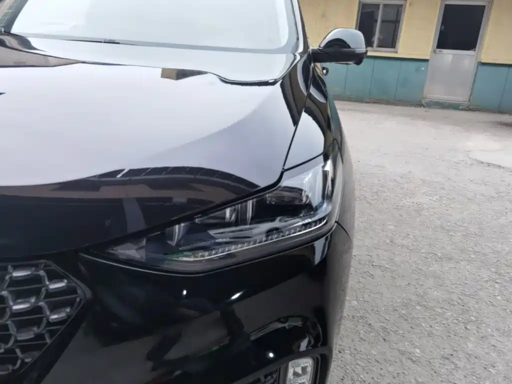 Wey Wey VV6 — миниатюра 24