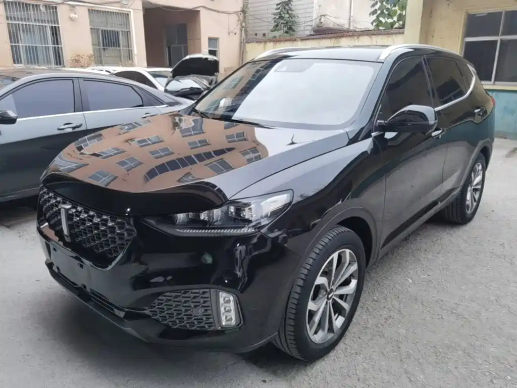Wey Wey VV6