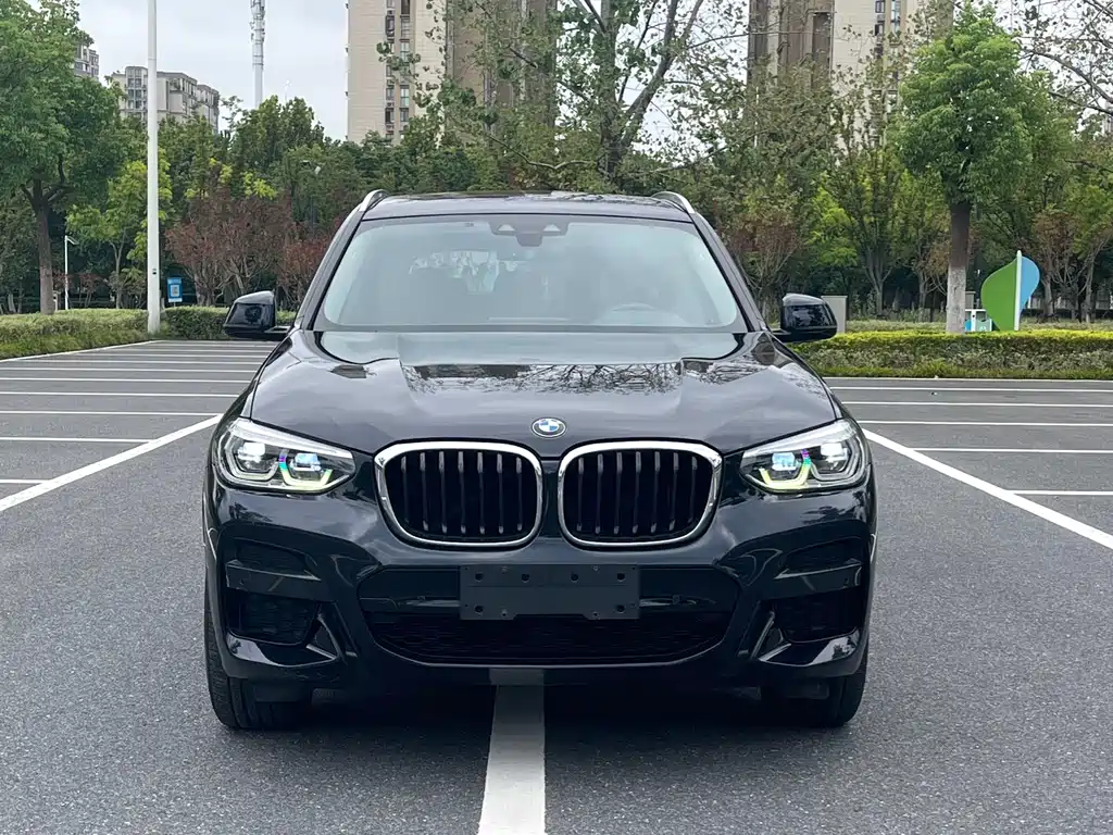 BMW X3 — миниатюра 2