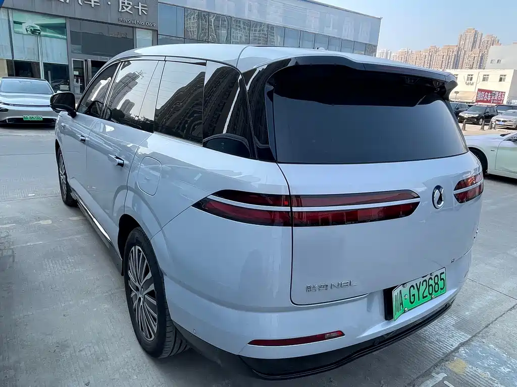 Denza Denza N8L — миниатюра 9