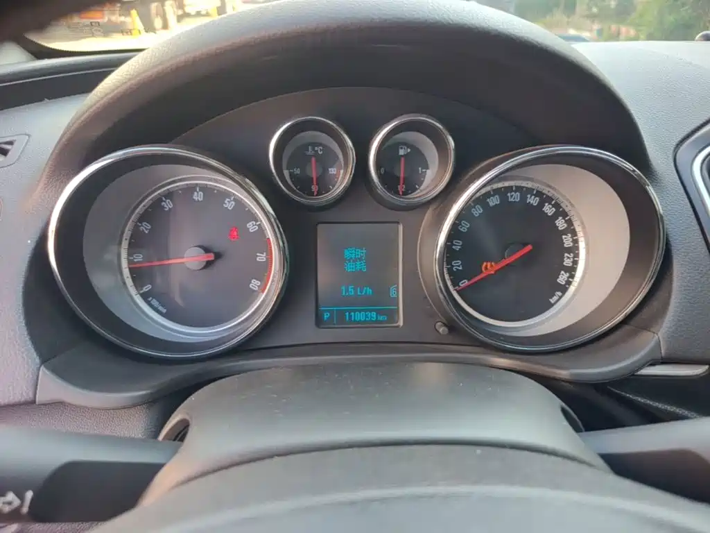Buick Regal — миниатюра 12