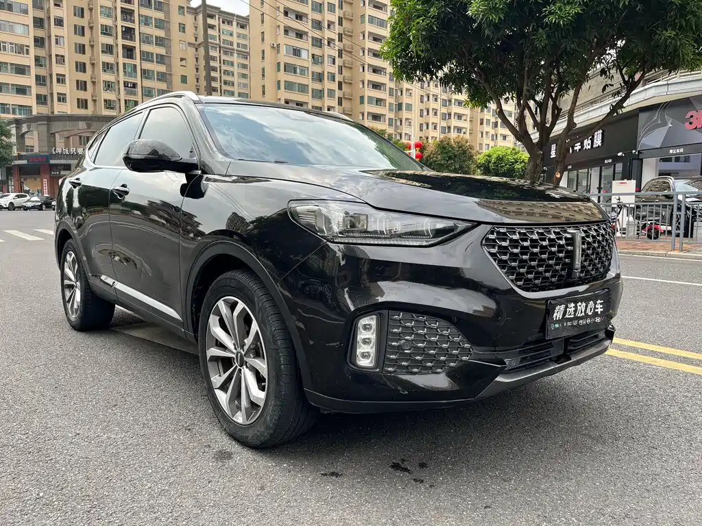 Wey Wey VV6 — миниатюра 3