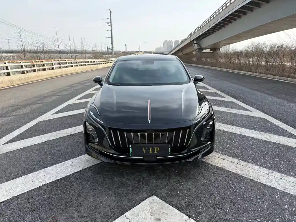 Hongqi HONGQI E QM5
