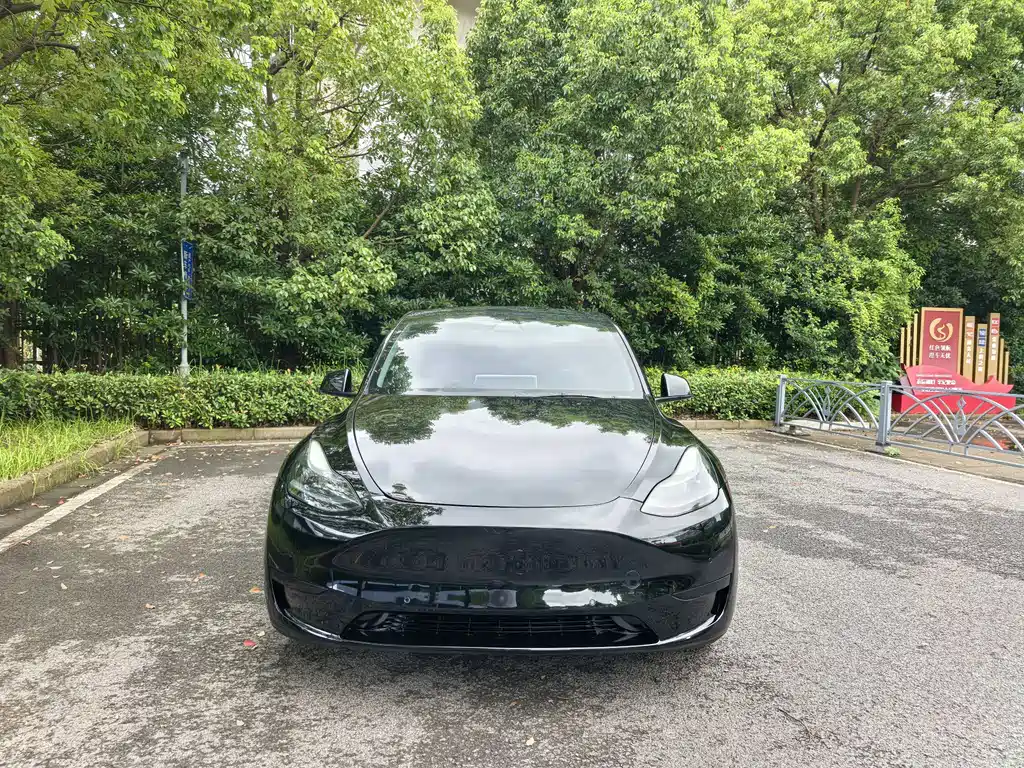 Tesla Model Y — миниатюра 2