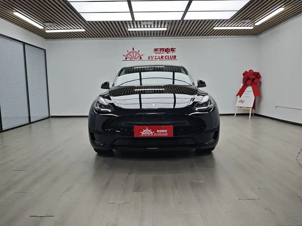 Tesla Model Y — миниатюра 3
