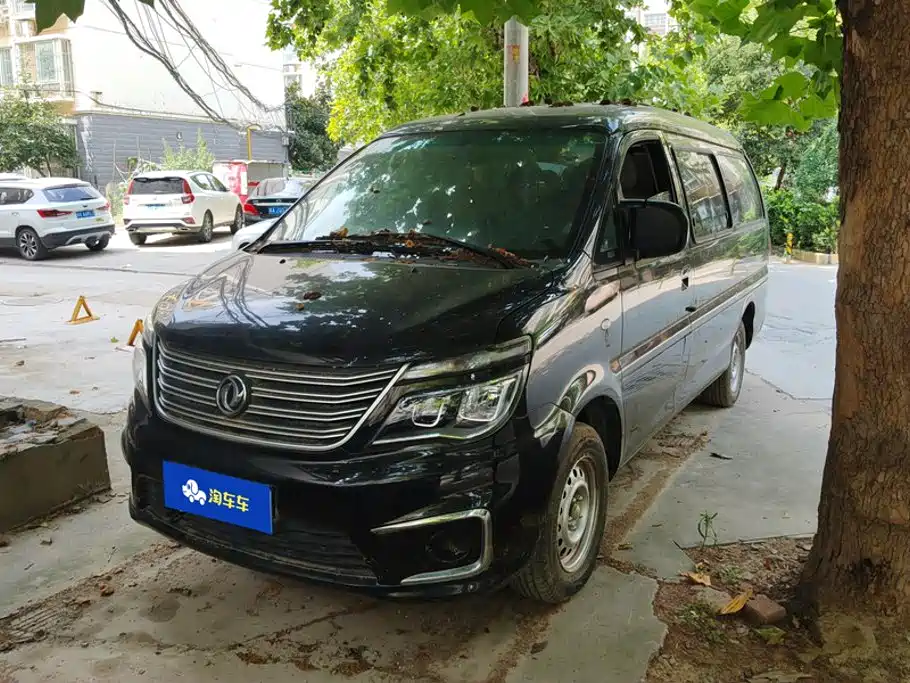 Fengxing Lingzhi