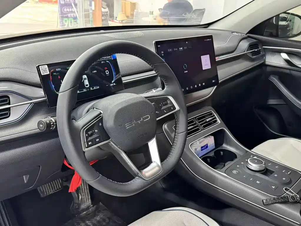 BYD Destroyer 05 2024 DM-i 55KM Luxury