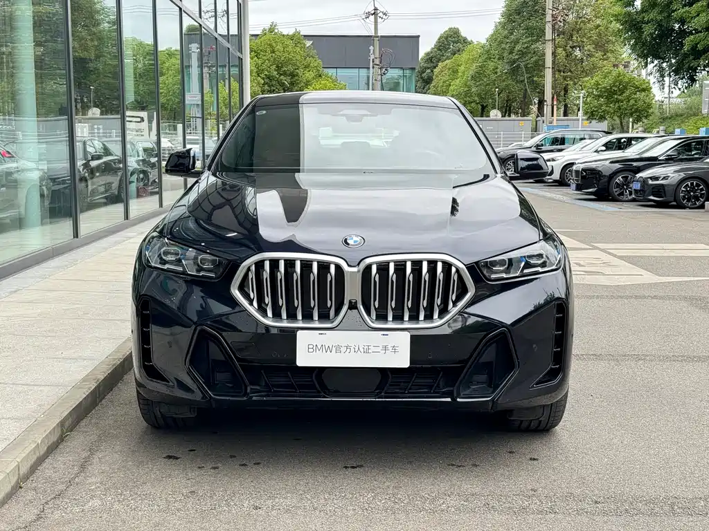 BMW X6 2023 xDrive40i Premium M Sport