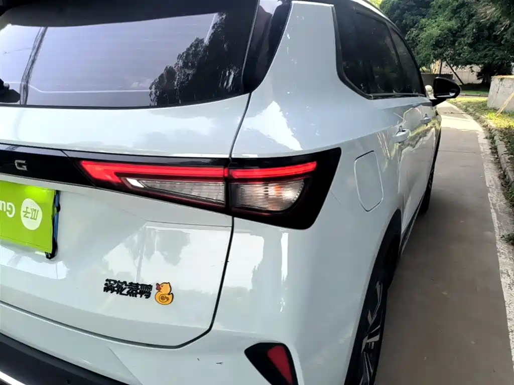 Wuling Xingchen 2022 2.0L DHT