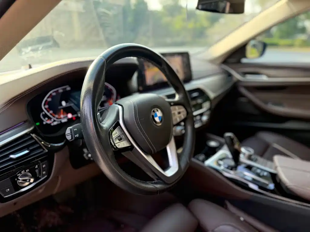 BMW 5 Series 5 2022 530Li Premium Luxury